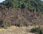 Đốt thực bì rừng phòng hộ trồng rừng thay thế gây cháy rừng?