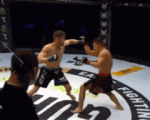 Võ sĩ MMA bị knock-out lạ kỳ vì... 