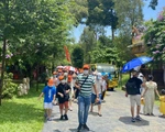 Du khách vội vàng hủy tour, các công ty du lịch họp nóng