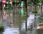 Miền Bắc mưa lớn, TP Thái Nguyên, Bắc Giang ngập gần nửa mét