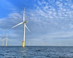 Điện gió ngoài khơi: đăng ký 110.000 MW, dự thảo quy hoạch chỉ... 5.000 MW