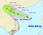 Áp thấp nhiệt đới có thể mạnh lên thành bão trên Biển Đông