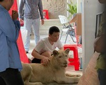 Campuchia bắt người Trung Quốc nuôi sư tử ngay ở Phnom Penh