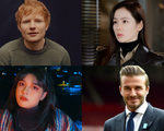 Đan Trường bị người hâm mộ lừa đảo, hình Ed Sheeran xem bóng đá với Beckham gây sốt