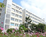 Cảnh báo lừa đảo học phí, nâng điểm qua môn