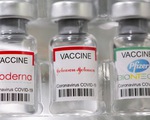 Bộ Y tế: Tiêm trộn 2 loại vắc xin ngừa COVID-19 có nguy cơ gia tăng phản ứng sau tiêm