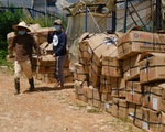 Đà Lạt, Lâm Đồng xem cung ứng rau cho vùng dịch là nhiệm vụ
