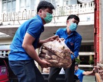 Thanh niên Lâm Đồng gửi 115 tấn rau đến vùng dịch