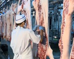 TP.HCM có cung cấp đủ thịt heo khi Vissan giảm hoạt động?