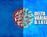 CDC Mỹ: Biến thể Delta lây nhanh như thủy đậu, mạnh hơn cúm mùa