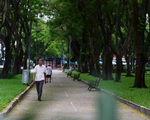 Hiến kế 