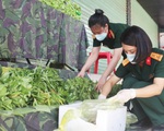 Bộ đội chia rau, củ ‘gian hàng 0 đồng’ phát cho bà con khó khăn ở Vinh