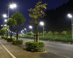 Đèn LED chiếu sáng đường phố làm giảm số lượng côn trùng