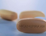 Vì sao nhiều F0 ở TP.HCM chưa nhận được thuốc kháng virus Molnupiravir?