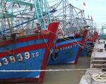 40-55% tàu cá cả nước nằm bờ vì giá dầu tăng, Bộ Nông nghiệp đề nghị hỗ trợ ngư dân