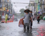 Mưa ngập nội thành, người dân Đà Nẵng nô nức ra đường bắt cá để giải trí