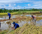 Bất ngờ sau ngày cách ly...