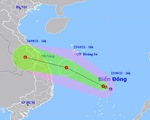 Áp thấp nhiệt đới trên Biển Đông hướng về các tỉnh Đà Nẵng - Bình Định