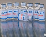 Chính phủ phê duyệt mua 20 triệu liều vắc xin Vero Cell của Sinopharm Trung Quốc