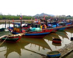 Ngư dân đưa thuyền vào bờ, nông dân xuống đồng gặt lúa 