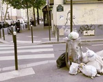 Paris đầy rác, Pháp lên kế hoạch tìm lại kinh đô ánh sáng xưa