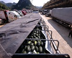 Còn 2.400 xe ùn ứ, Lạng Sơn đề nghị tạm dừng đưa nông sản lên cửa khẩu