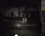 Một người đàn ông bám gốc cây ba tiếng cầu cứu trong đêm Đà Nẵng