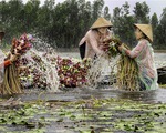 Phụ nữ Việt Nam chỉ đẹp trong lao động?