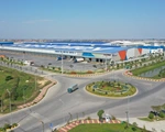 Các mảng kinh doanh của GELEX đều tăng