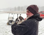 Máy bay rơi xuống sân golf, 53 chú chó sống sót
