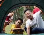 Người dân thủ đô lên rừng thông Ba Vì cắm trại, ngắm ‘con đường Hàn Quốc’