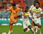 Xếp hạng bảng A World Cup 2022: Hà Lan, Ecuador dẫn đầu