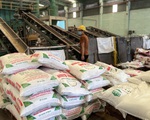Xuất khẩu phân bón cao kỷ lục, dự kiến cả năm vượt mốc 1 tỉ USD