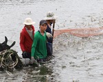 Xuất khẩu thủy sản Việt Nam lần đầu tiên cán mốc 10 tỉ USD