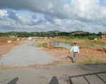 Chưa có đủ giấy phép, Đất Xanh Quảng Ngãi vẫn san lấp ruộng lúa làm dự án bất động sản