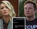 Elon Musk vừa mua Twitter, tài khoản Amber Heard đã 