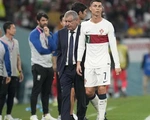 HLV Fernando Santos: 