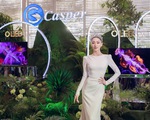 Casper hé lộ hệ sinh thái sản phẩm 2022, ra mắt loạt TV QLED & OLED