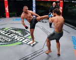 Chờ đợi gì ở mùa giải mới của PFL MMA 2022?