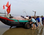 Đầu năm kéo ‘lộc biển’, ngư dân Hà Tĩnh thu tiền triệu mỗi ngày