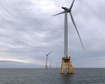 Mỹ: Các công ty bỏ thầu kỷ lục 4,37 tỈ USD thuê địa điểm sản xuất điện gió ngoài khơi