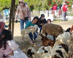 An Giang: Khu du lịch tăng giá vé gấp đôi dịp Tết vì thấy 