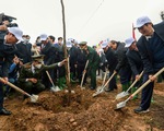 Chủ tịch nước đánh trống phát động Tết trồng cây xuân Nhâm Dần