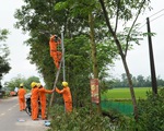 Quảng Trị khởi động "Tháng Thanh niên" bằng công trình thắp sáng đường quê