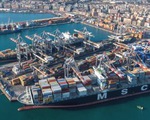 Vụ nghi lừa đảo 100 container hạt điều xuất sang Ý: Các doanh nghiệp đã tái xuất khẩu
