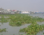 Các đập thủy điện Mekong xả nước, dự báo mùa lũ 2022 ở miền Tây sẽ giảm