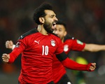 Video Ai Cập đánh bại Senegal trong trận tranh vé dự World Cup nhờ bàn phản lưới nhà