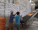 Gạo Việt Nam lên giá nhanh sau khi Ấn Độ cấm xuất gạo