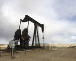 Mỹ thu hẹp đất công, bán quyền khai thác giếng dầu khí mới