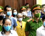 12 thành viên, ủng hộ viên của tổ chức khủng bố "Chính phủ quốc gia Việt Nam lâm thời" hầu tòa